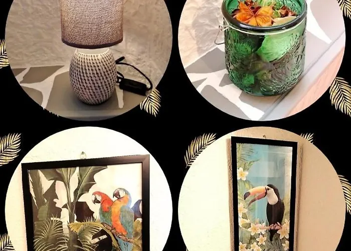 Appartement T1 Quartier Chateau De Pau
