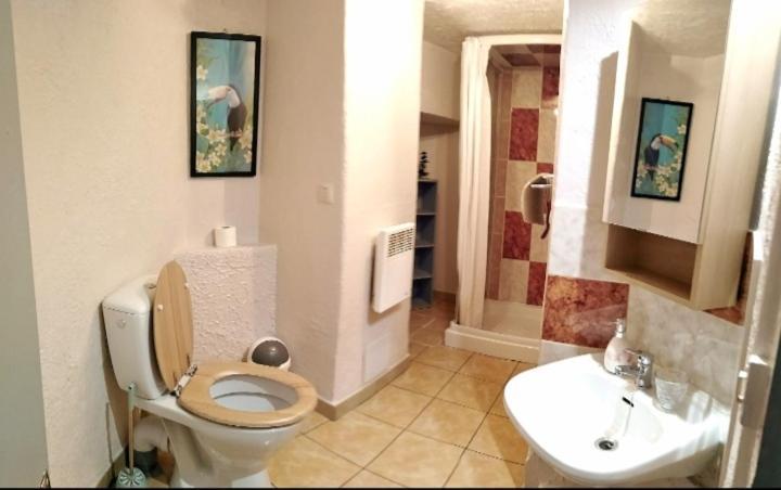 Apartment T1 Quartier Chateau De